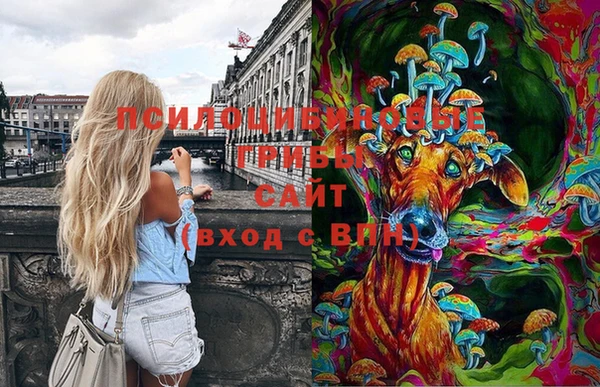 кокс Кодинск