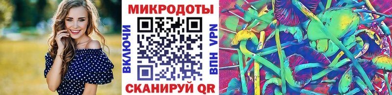 Псилоцибиновые грибы Psilocybe  Тбилисская 